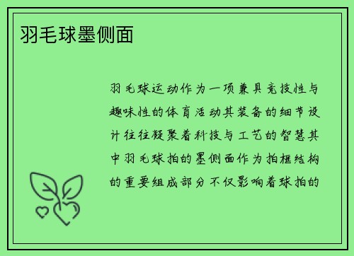 羽毛球墨侧面