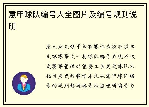 意甲球队编号大全图片及编号规则说明